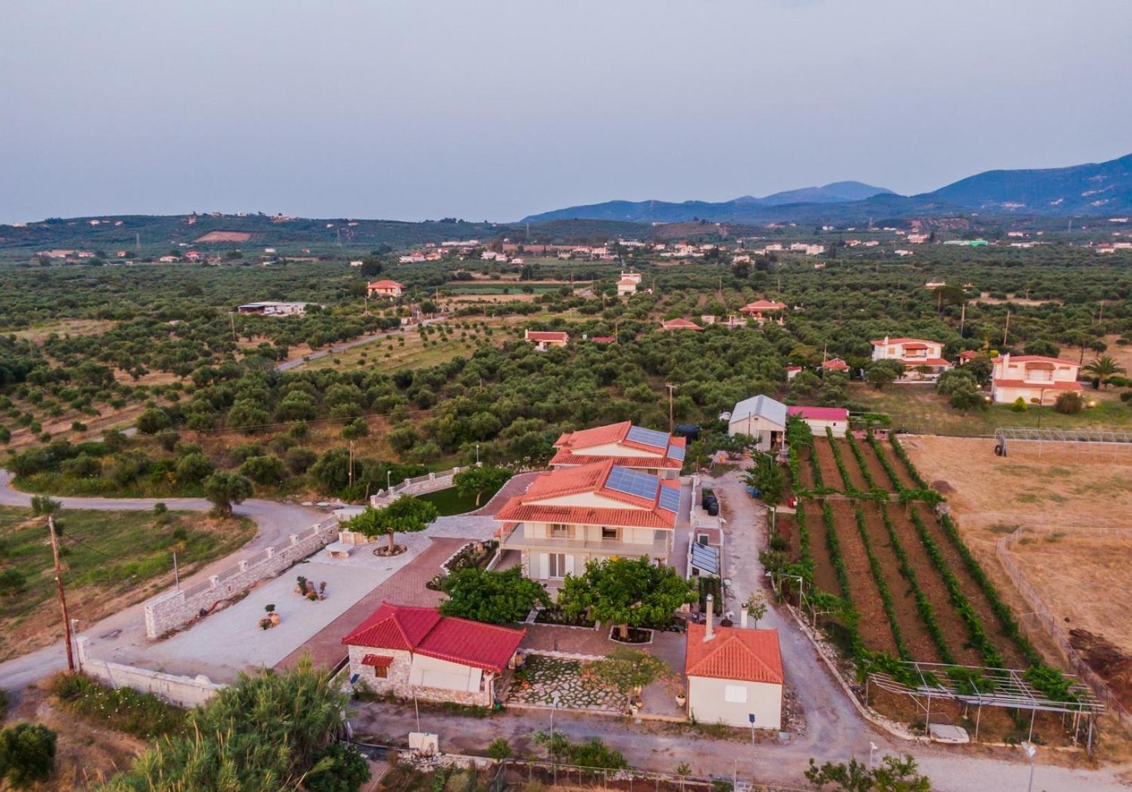 Terra Helios Suites & Studios Kyparissia Exterior foto